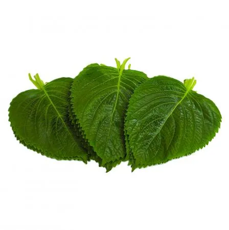 야채왕 깻잎 1봉 30장 이미지