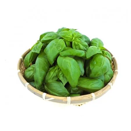 야채왕 바실 100그램 생잎허브 바질페스토 100g