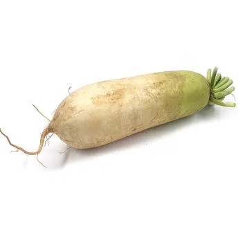 야채왕 무 1개