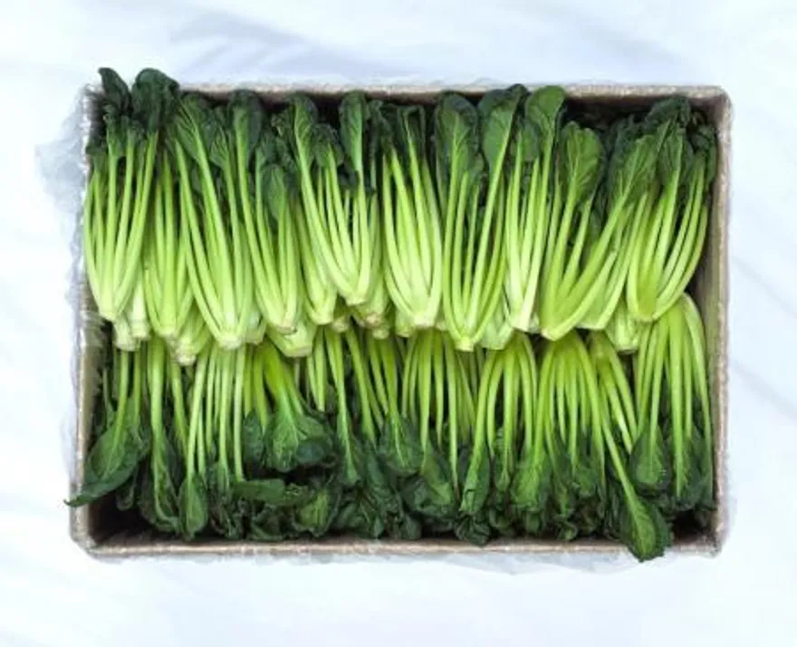 야채왕 비타민 채소 다채 2kg (1.8kg~2kg)박스 이미지