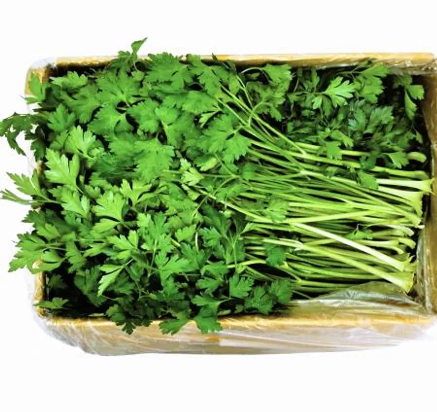 야채왕 이태리파슬리(파세리) 향나물 2kg(1.8kg~2kg) 이미지