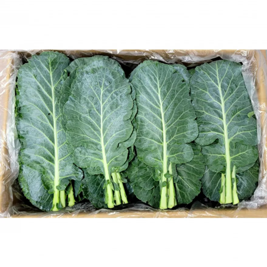 야채왕 쌈 케일 2kg (1.8kg~2kg) 박스 이미지