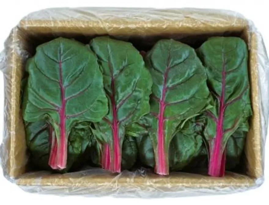야채왕 적근대 2kg(1.8kg~2kg) 박스 이미지