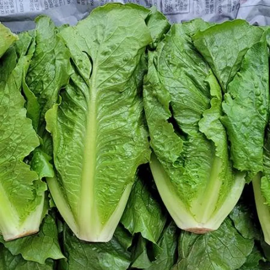 야채왕 통로메인 2kg (1.8kg~2kg) 박스 이미지