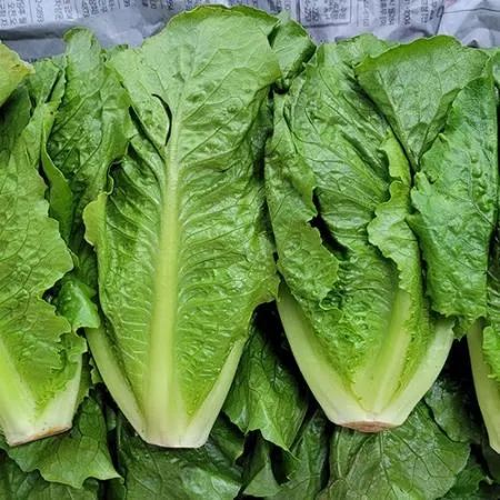 야채왕 통로메인 2kg (1.8kg~2kg) 박스 이미지