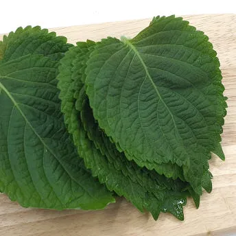 야채왕 깻잎 1봉 30장 이미지