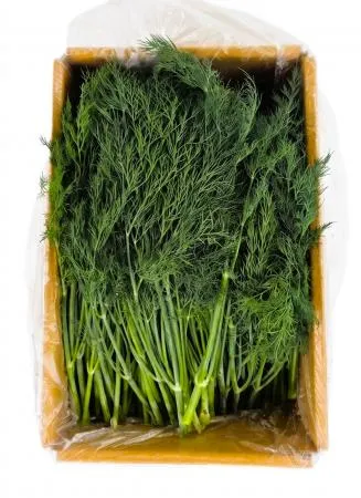 야채왕 허브딜 1kg 이미지