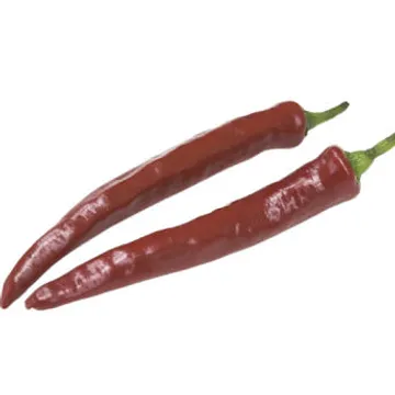 야채왕 홍고추 500g-국내산