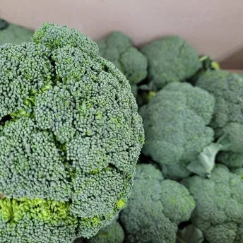 야채왕 브로콜리 4kg 이미지