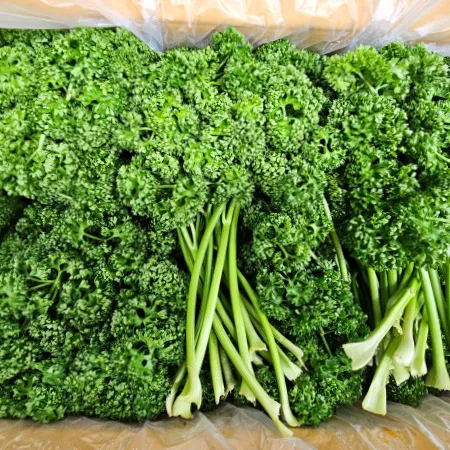 야채왕 생파슬리(생파세리) 4kg(3.5kg~4kg)박스
