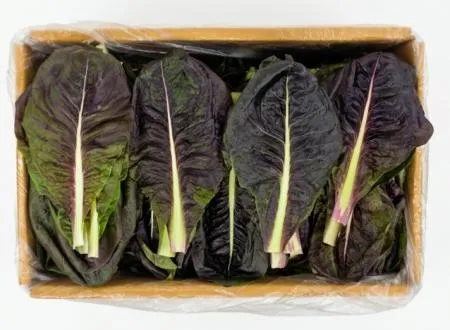 야채왕 치콘 2kg 빨간잎채소 쌈치콘(1.8kg~2kg) (여름에는 푸른색) 박스 이미지