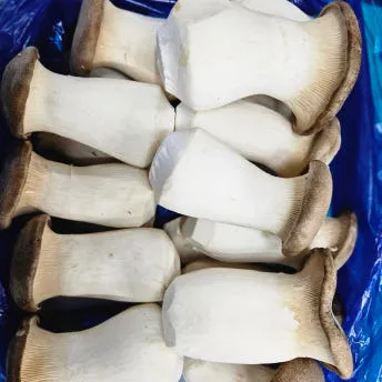 야채왕 새송이 버섯 2kg 박스 이미지