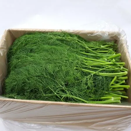 야채왕 허브딜 1kg 이미지