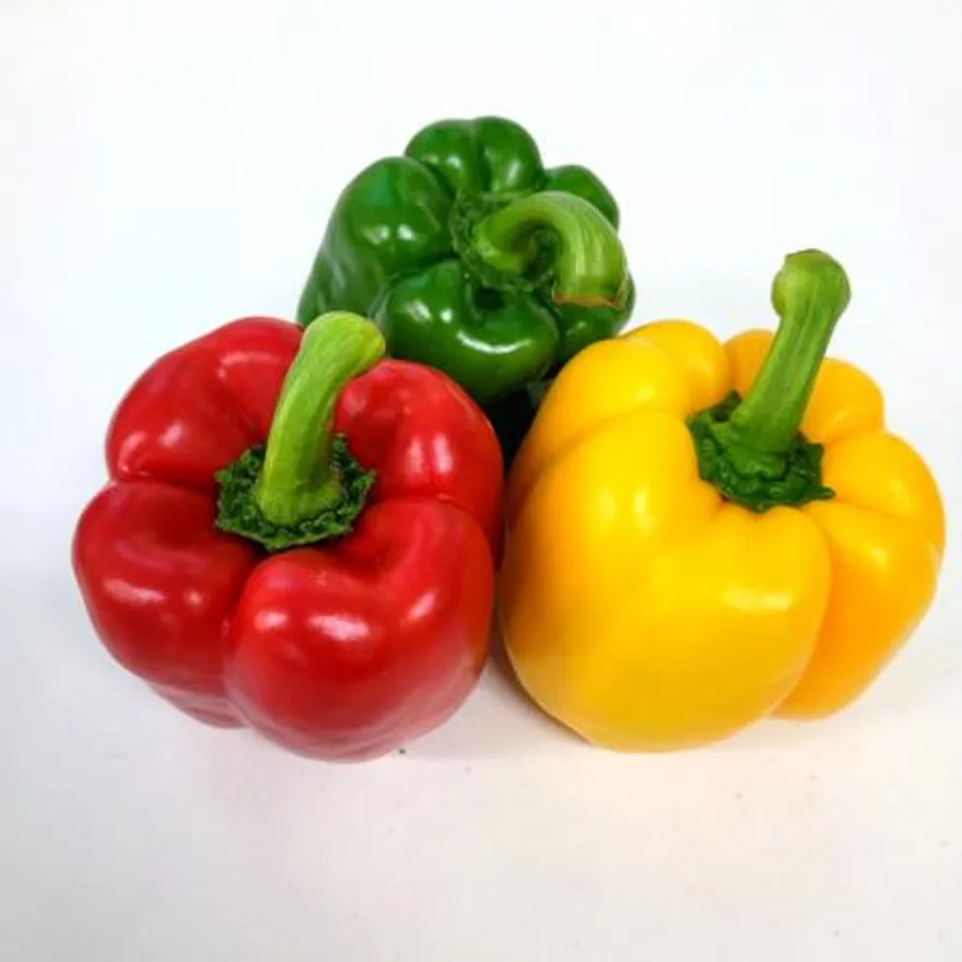 야채왕 예쁜이 파프리카 혼합 1kg 빨강 노랑(4~7개) 이미지