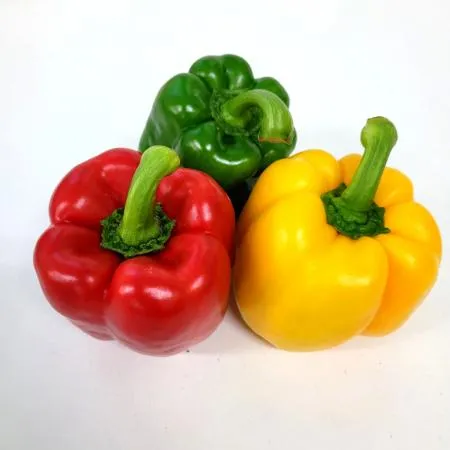 야채왕 예쁜이 파프리카 혼합 1kg 빨강 노랑(4~7개) 이미지