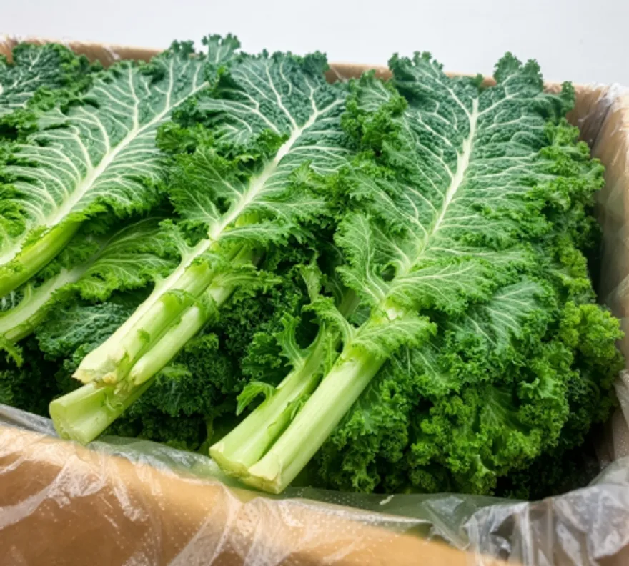 야채왕 청겨자잎 2kg (1.8kg~2kg) 이미지