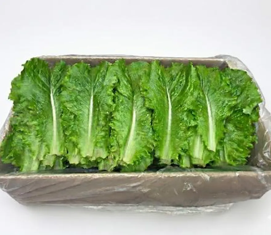 야채왕 청상추 4kg 쌈채소 이미지