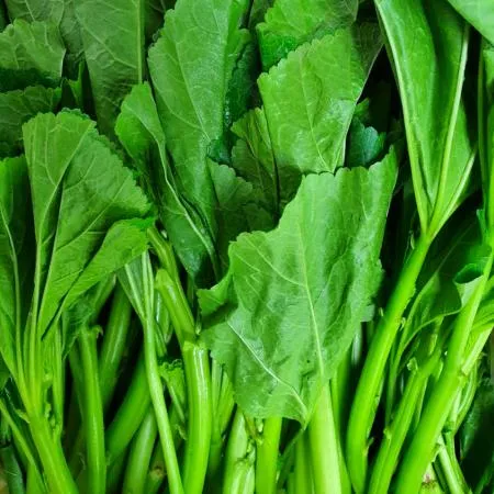 야채왕 아욱 4kg 이미지