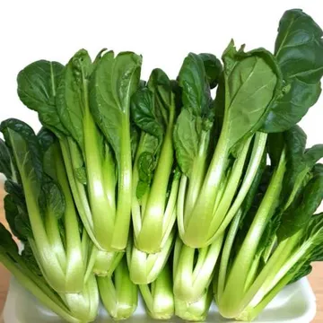 야채왕 비타민 채소 다채 1kg