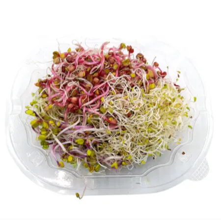 야채왕 새싹 모듬 1팩 50g