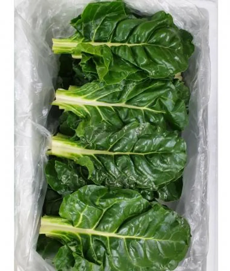 야채왕 근대 4kg 이미지