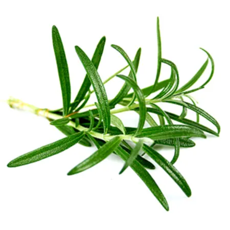 야채왕 로즈마리 1팩