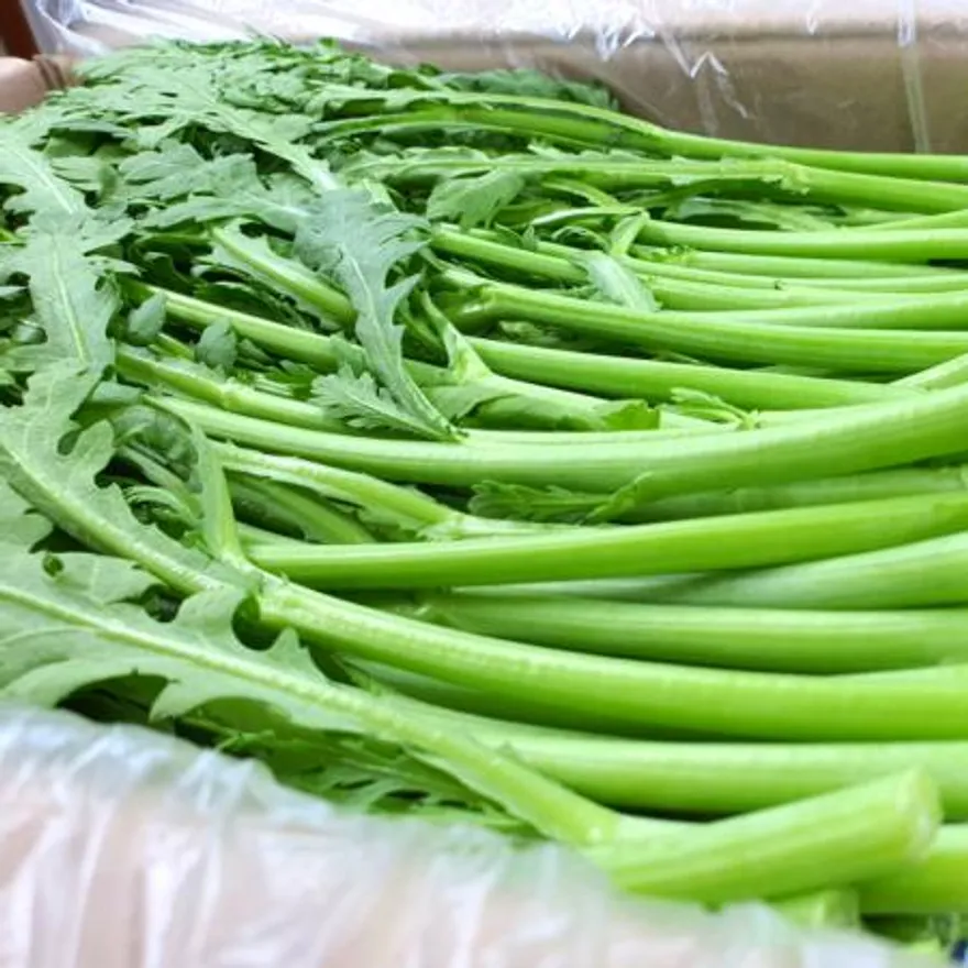 야채왕 쑥갓 4kg 박스 (3.8kg~4kg)-무료배송 이미지