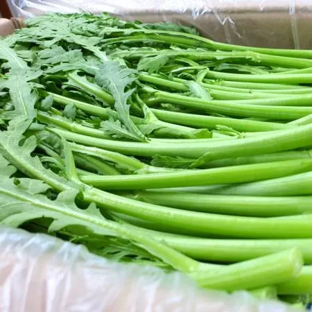 야채왕 쑥갓 4kg 박스 (3.8kg~4kg)-무료배송 이미지