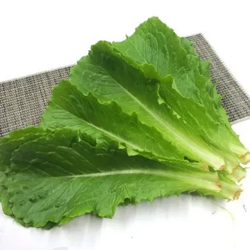 야채왕 로메인 100g 상추 쌈채소 특수야채