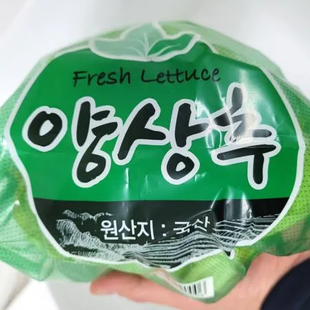 야채왕 양상추1통 이미지