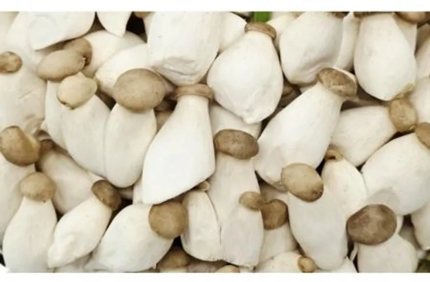 야채왕 미니새송이 1봉(300g) 이미지