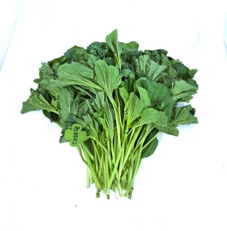 야채왕 아욱 4kg 이미지