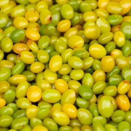 누드 냉동은행 500g