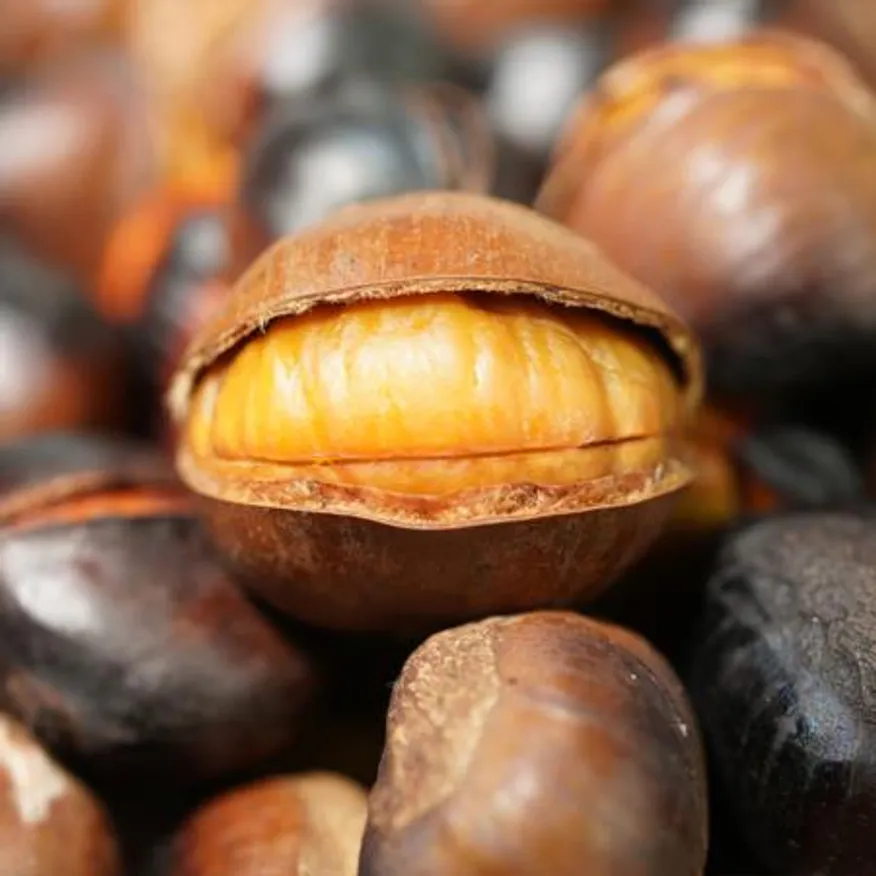 껍질냉동밤(칼집) 500g 이미지