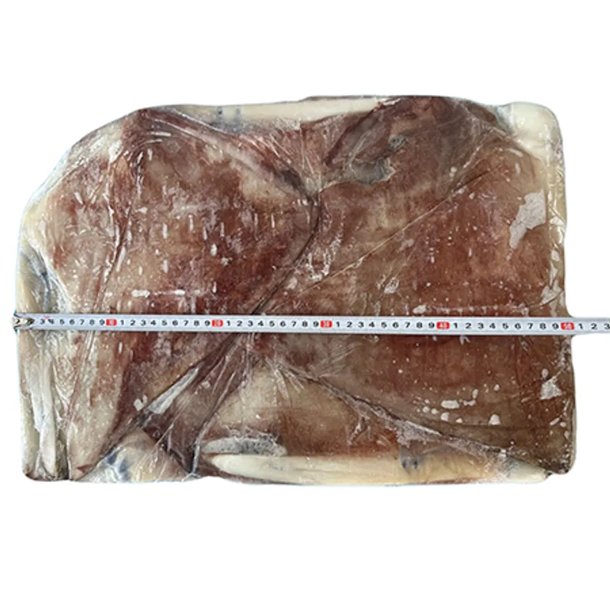 대왕오징어 지느러미(귀) 10kg 칠레 이미지