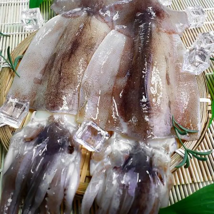할복오징어 4kg 16/20미 이미지