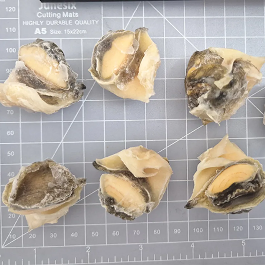 참소라살10kg/2L 이미지