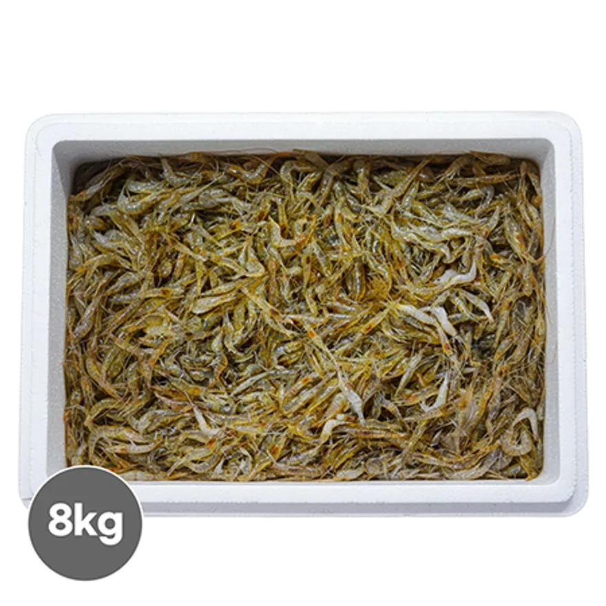 인도 민물새우 8kg (400gx20) 이미지