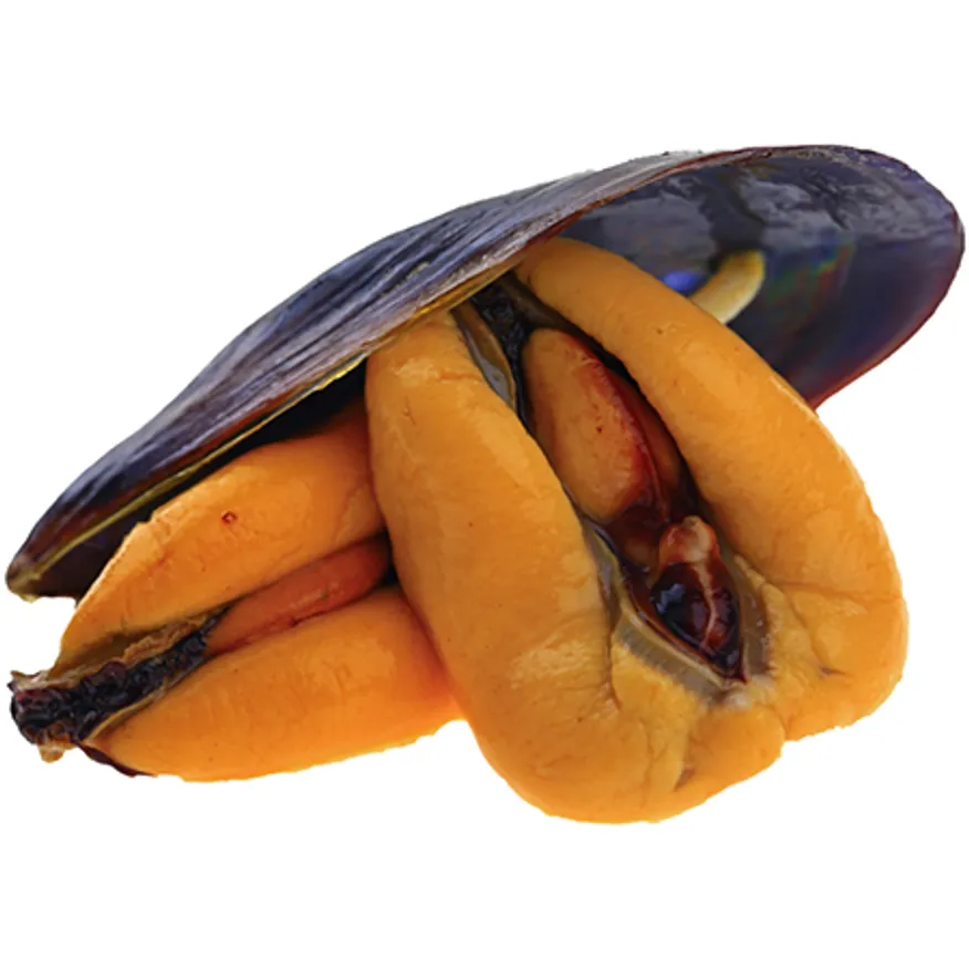 자숙피홍합10kg(1kg 10개입) 이미지