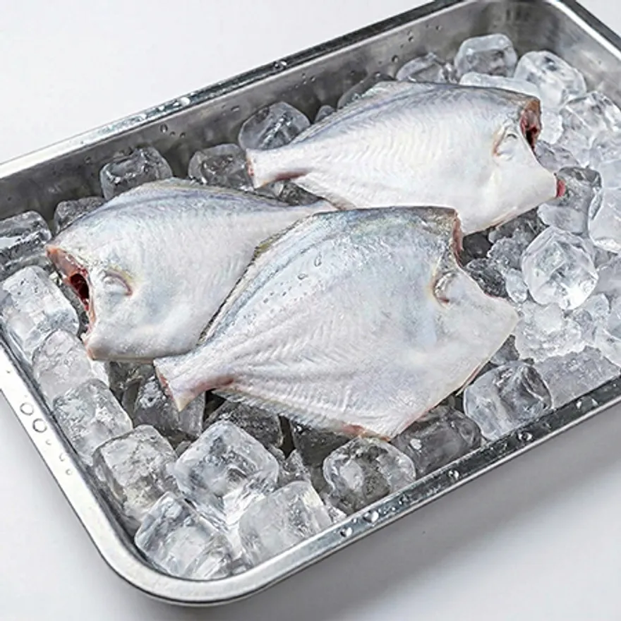 손질병어4kg/40-60/80미내외 이미지