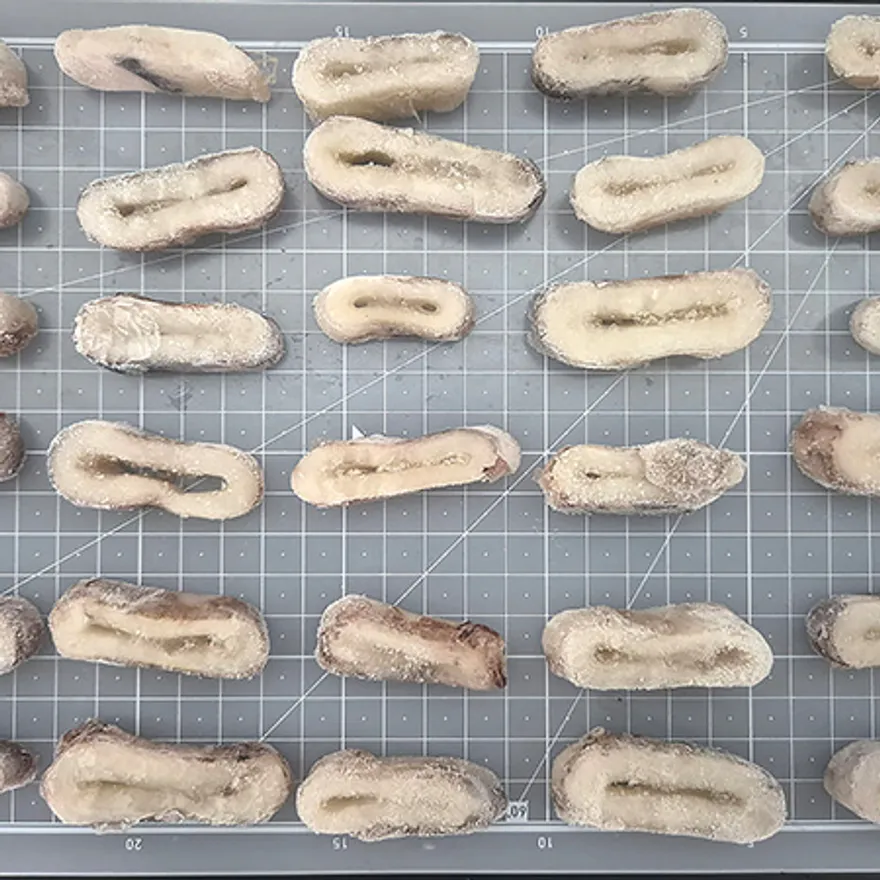 오징어링 4kg(소) 이미지