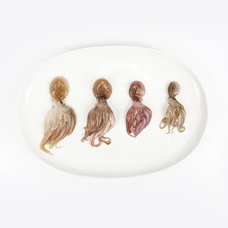 냉동쭈꾸미 2.16kg (180gX12) (20/30) 15미 이미지