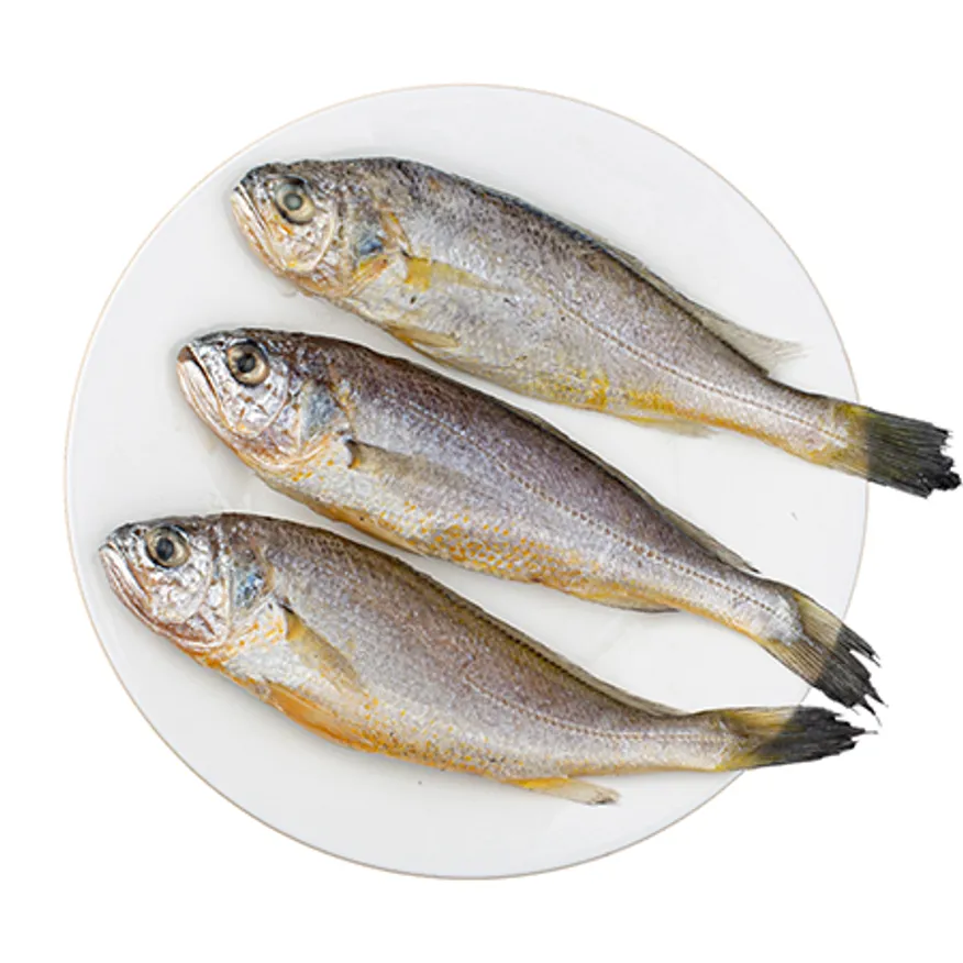 부세 3.4kg 19미 이미지