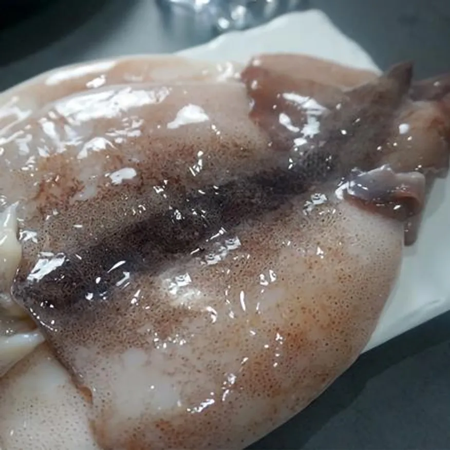 할복오징어 4kg 16/20미 이미지
