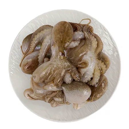 냉동쭈꾸미 2.16kg (180gX12) (80/100) 6미