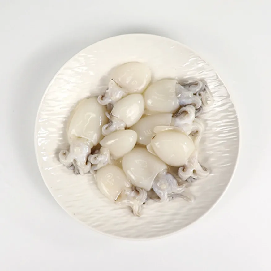 미니 갑오징어(9미) (20/40) 2.16kg (180gX12) 이미지