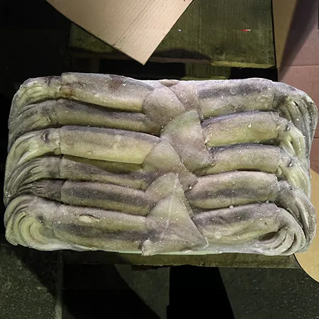 베이트오징어 15kg 11미 (중국) (3kgX5) 이미지