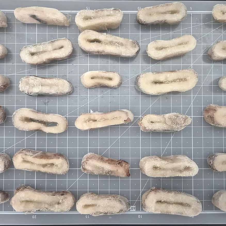 오징어링 4kg(대) 이미지
