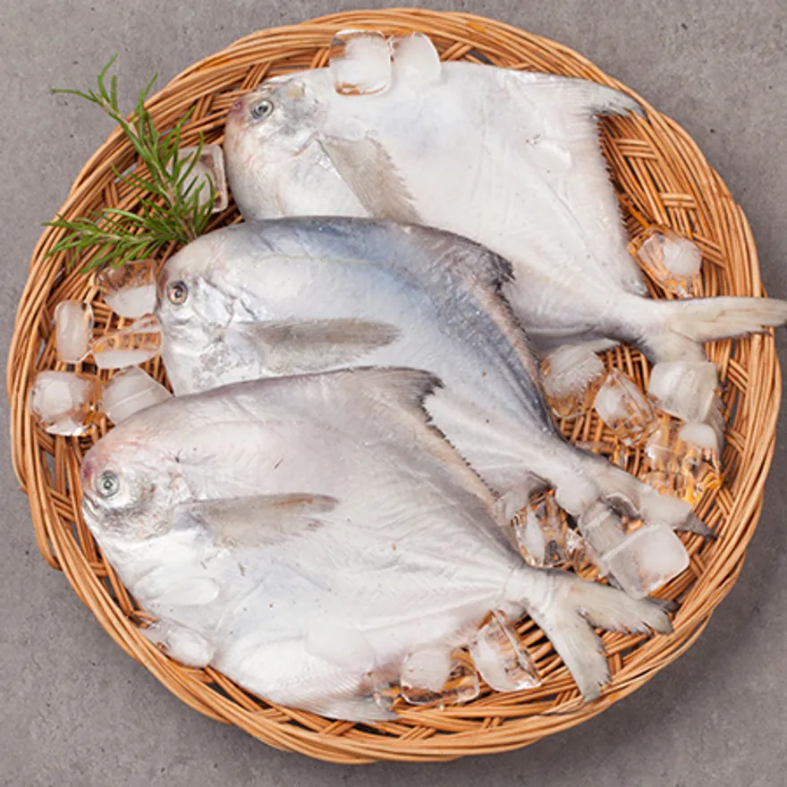 손질병어4kg/40-60/80미내외 이미지