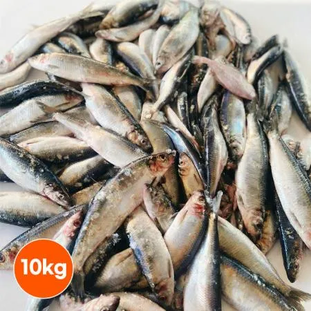 국산 냉동청어 10kg